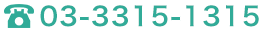 電話番号0333151315